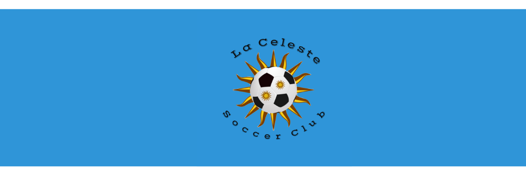 More Than A Club